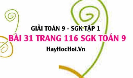 Giải bài 31 trang 116 SGK Toán 9 tập 1